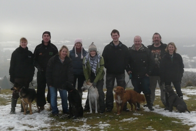 Dog Walkers