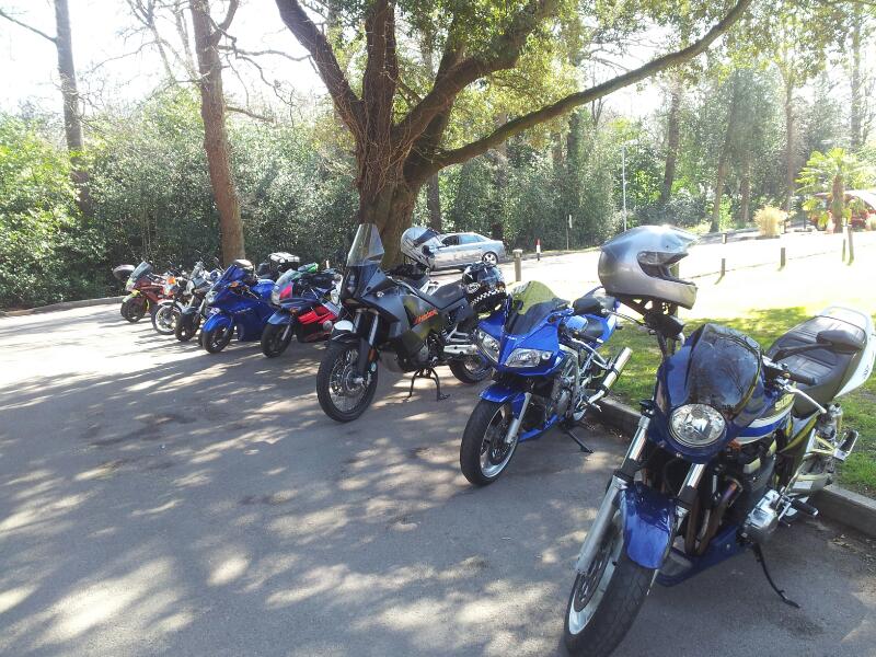 Easter egg run to the childrens Trust Tadworth Easter egg run to the childrens Trust Tadworth
