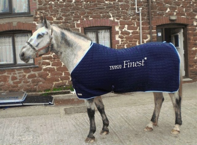 tesco1