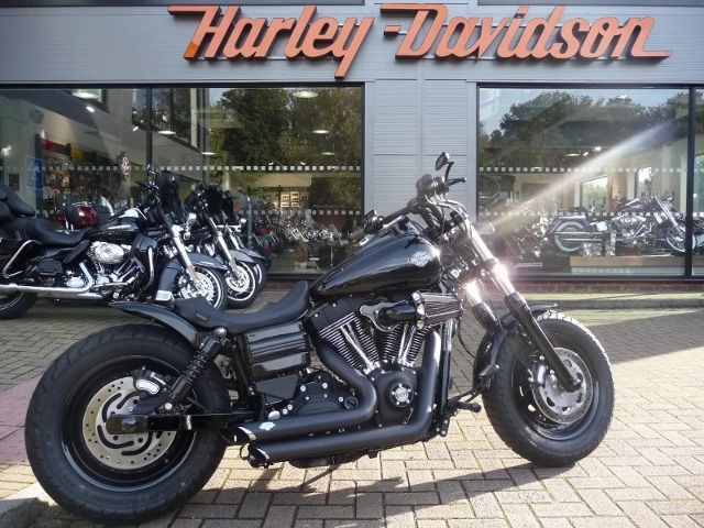 Harley 1 Harley 1