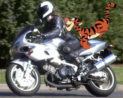 Suzuki TL1000S Suzuki TL1000S