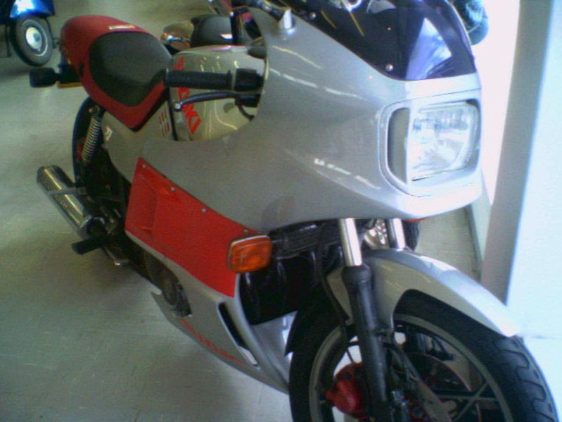 Another shot of my Kat Another shot of my Kat