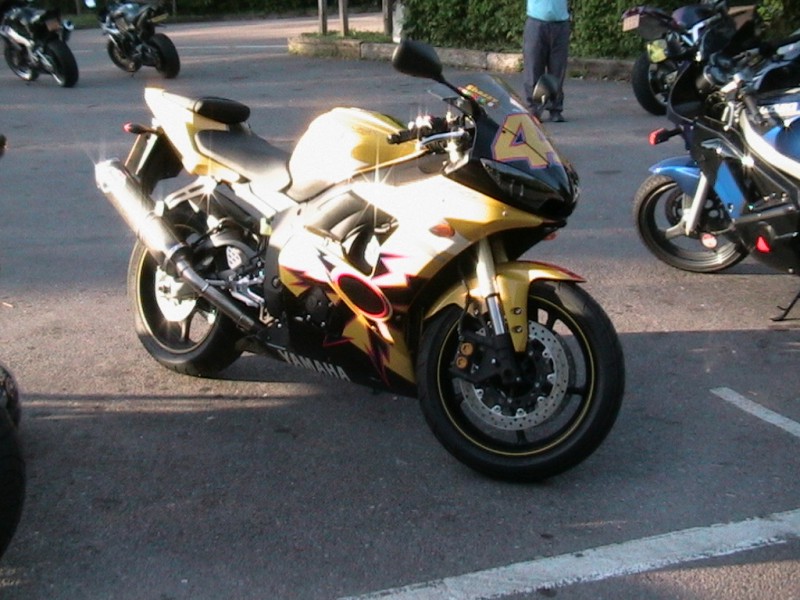 Rossi Birds R46 at Box Hill This Evening Rossi Birds R46 at Box Hill This Evening