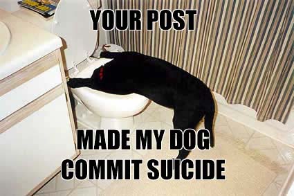Dog