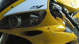 nose