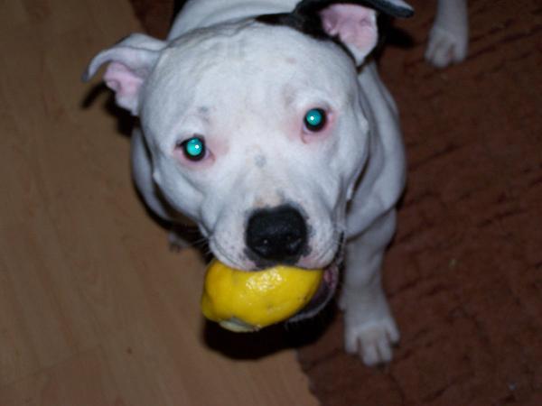 george with lemon