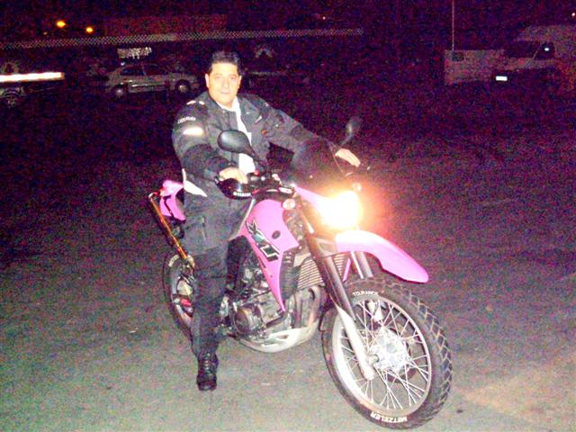 fairy on pink bike