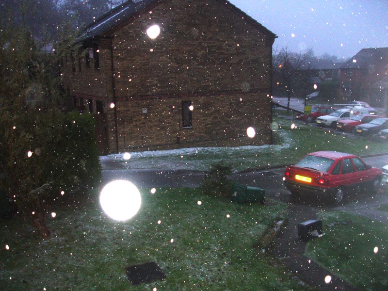 snow!