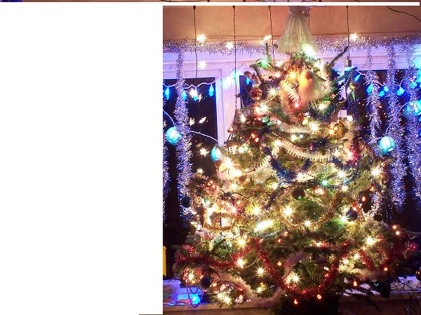 xmas tree