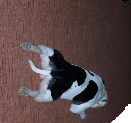 erk!!