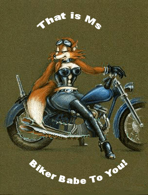 biker babe 2