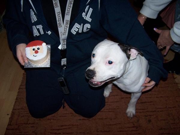 birthday dog!