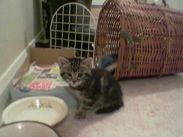 my pussy :)