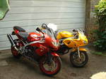 my sv and zx9