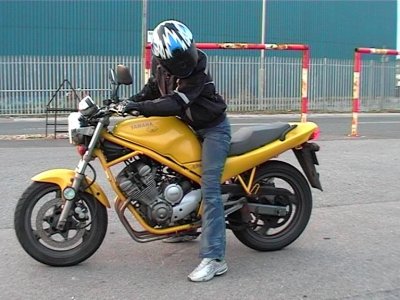 XJ600 Dog