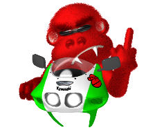 monkey4