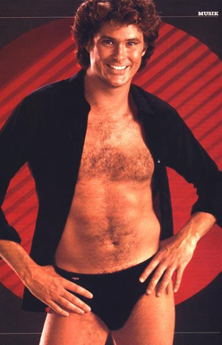 The Hoff The Hoff