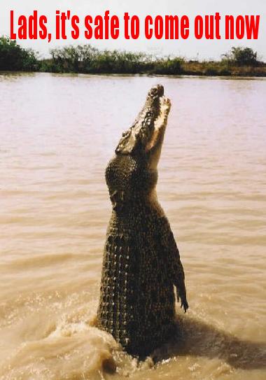 crocks