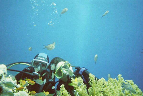 Undeewater Paradise