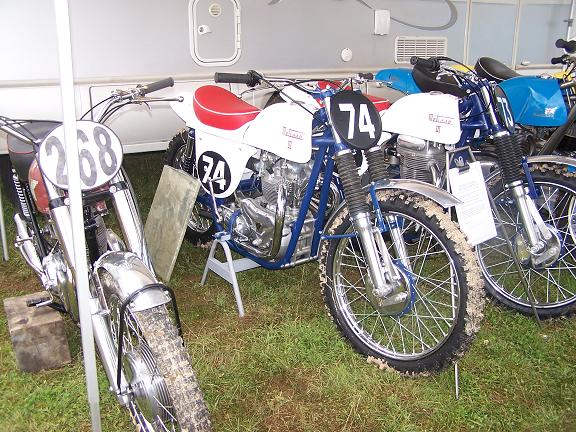 triumph metisse