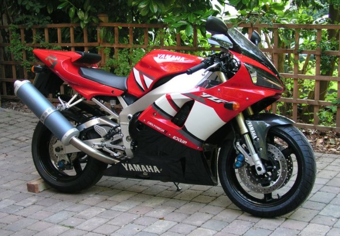 The new toy