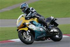 Brands 2007