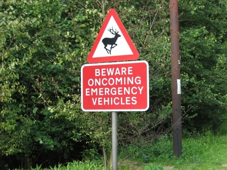 Funny road sign