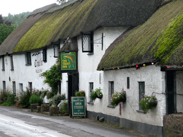 Trout Inn - Tiverton (Bickleigh)