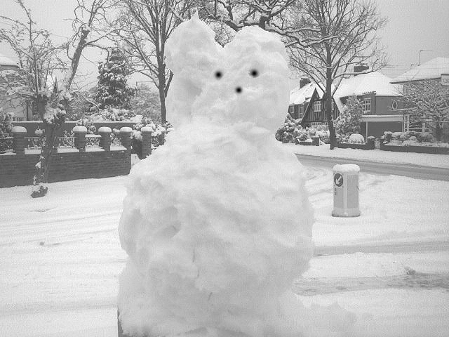 SnurKitteh SnurKitteh