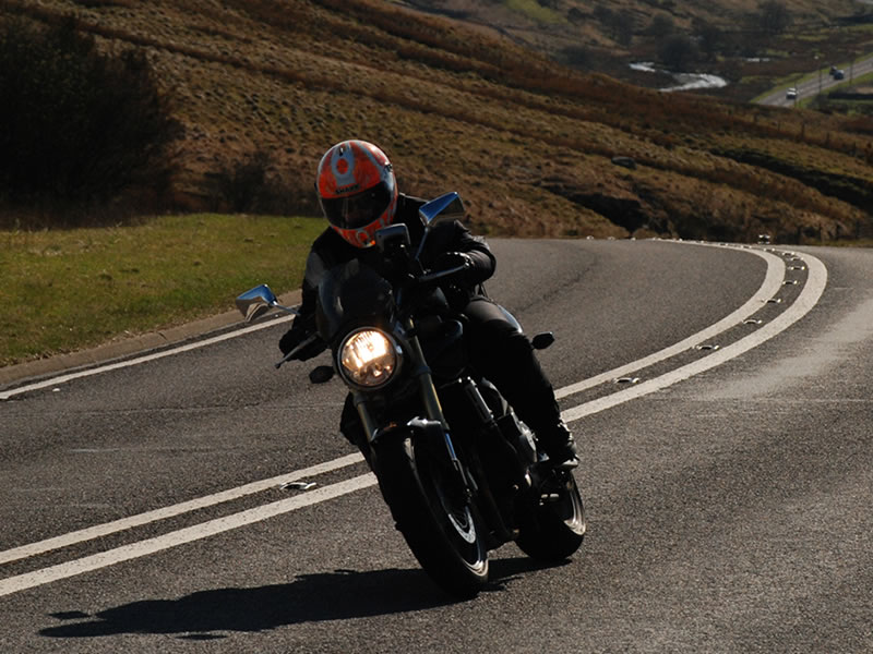 Lil Mush enjoying Welsh Road Lil Mush enjoying Welsh Road