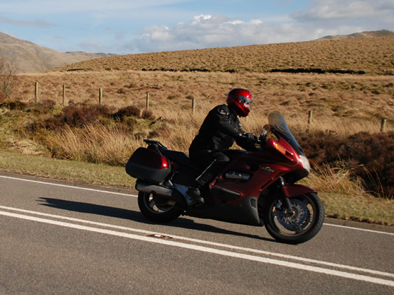 Redrat enjoying Welsh Road