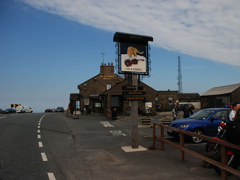 Cat & fiddle