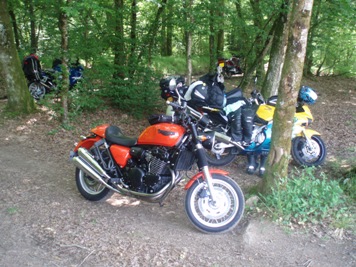 Bikes in the shade