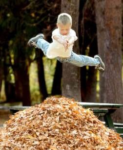 Why boys need parents 4