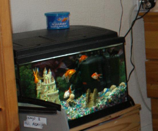 tank 1