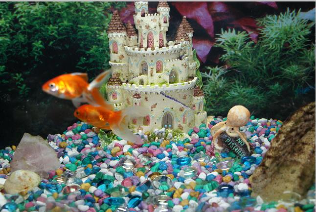 tank2