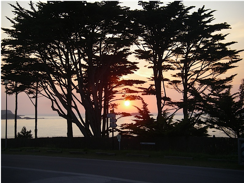 album_pic.php