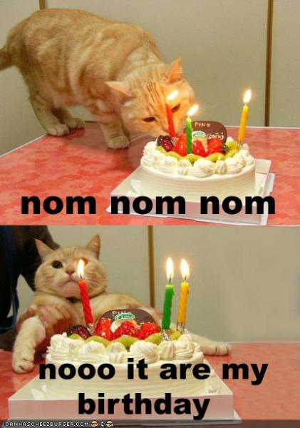 Nom Cake