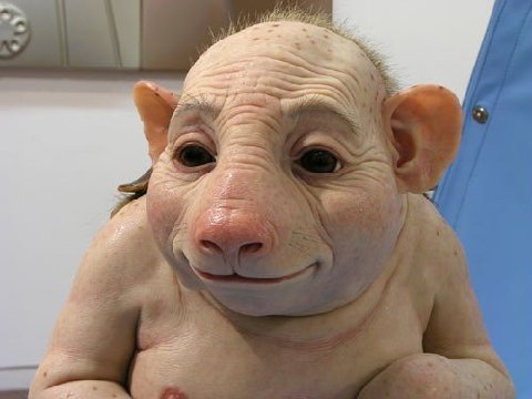 piggy