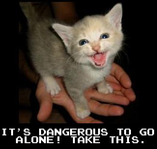 Tiny Cat