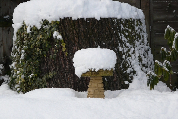 Bird Bath