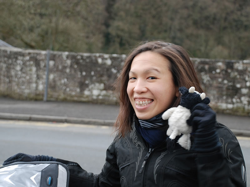 DDG & "Moo" at Tintern Abbey DDG & "Moo" at Tintern Abbey